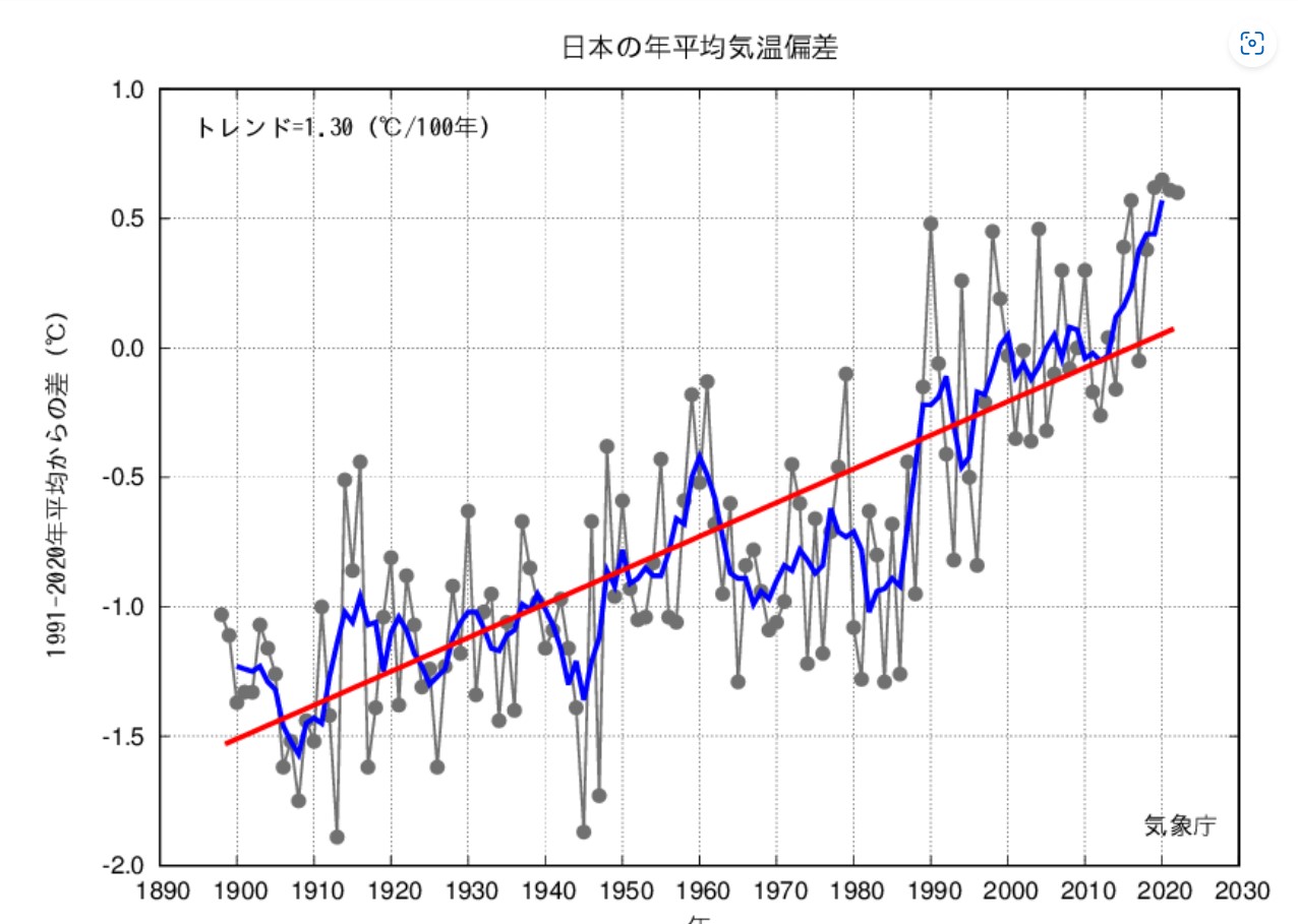 日本の年平均気温推移グラフ