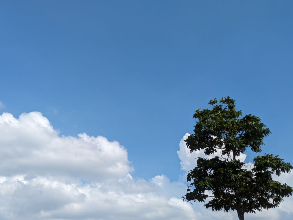 札幌　最高気温記録更新の空