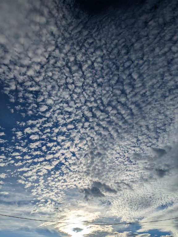 秋の空　うろこ雲