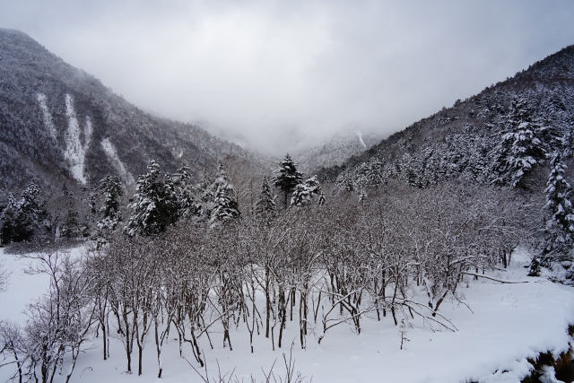 冬の風景