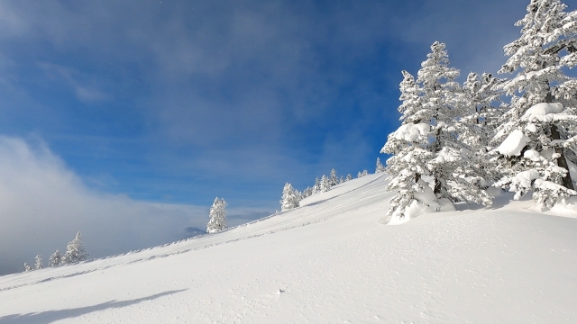 雪原