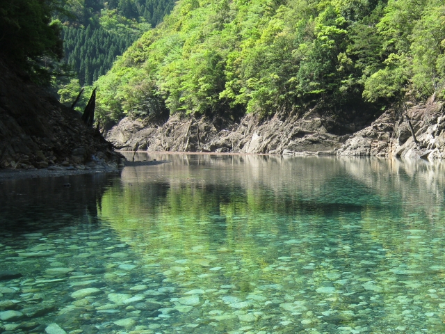 緑の大地