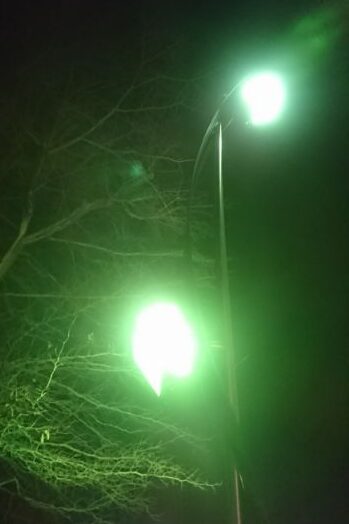 緑の街灯