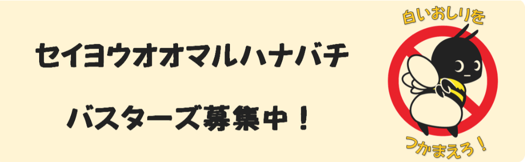 セイヨウマルハナバチ