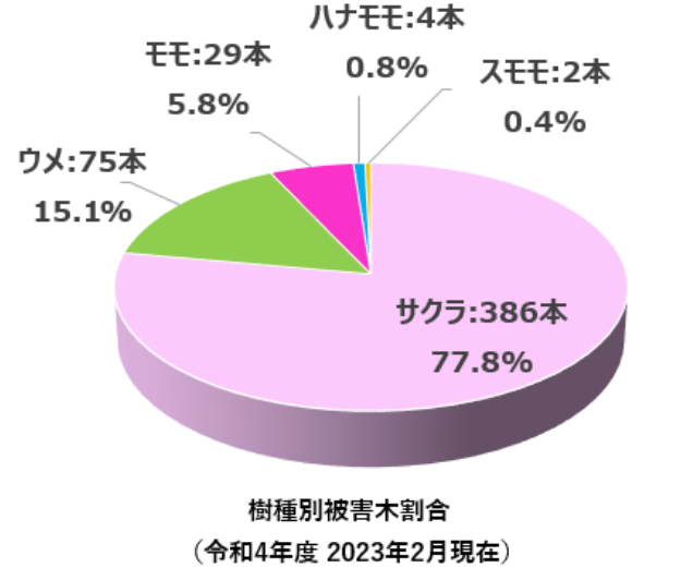 クビアカツヤカミキリ被害樹木