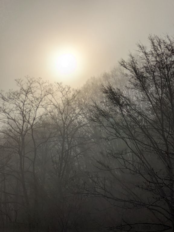 霧の日の出