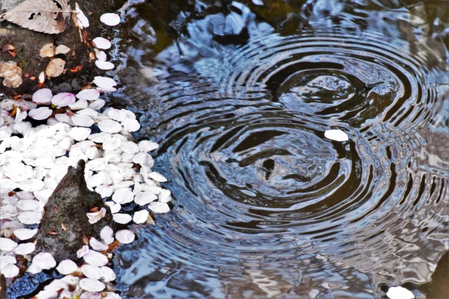 穀雨