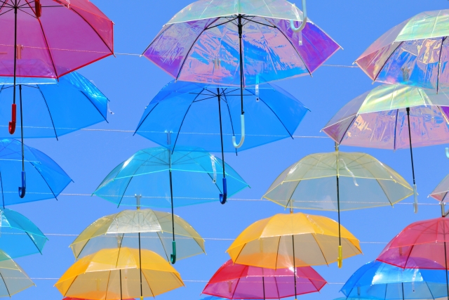 梅雨　雨　傘