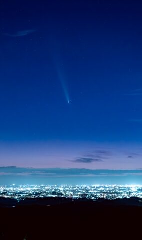 紫金山・アトラス彗星