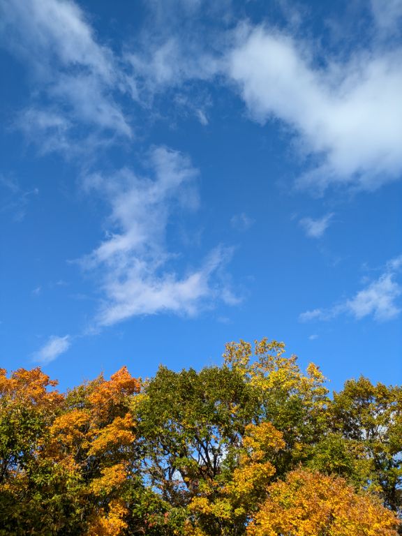 秋の空