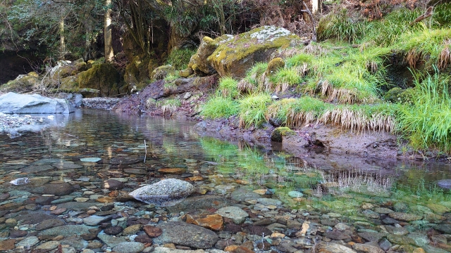 湧き水