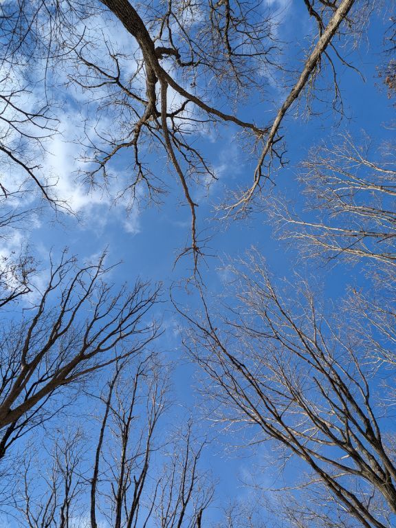 青空