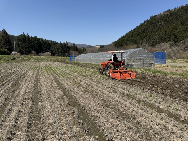 田んぼ耕起