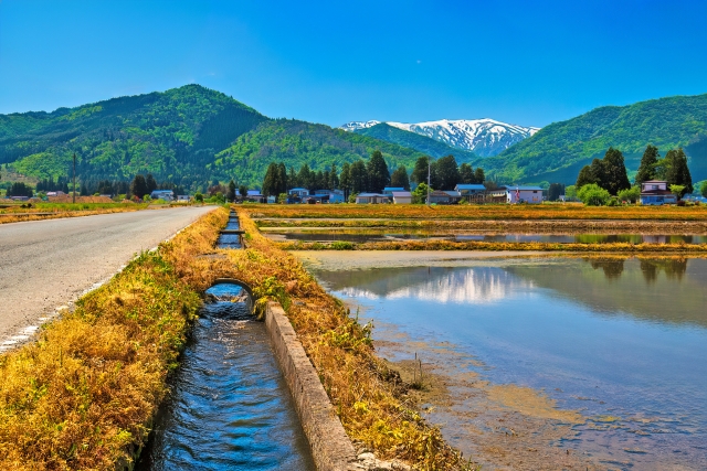 田んぼと水路