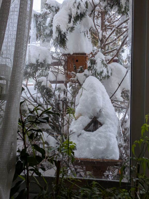 節分の鳥食堂