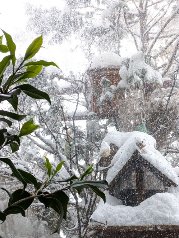 吹雪の鳥食堂