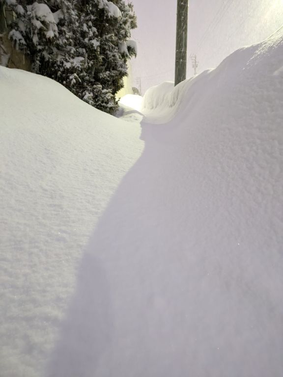 雪の歩道