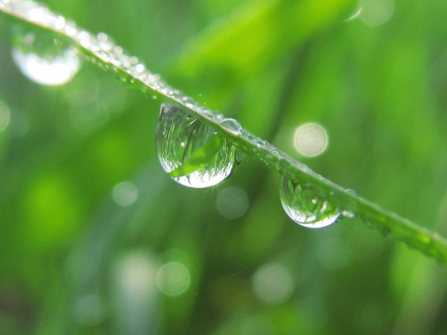 雨水