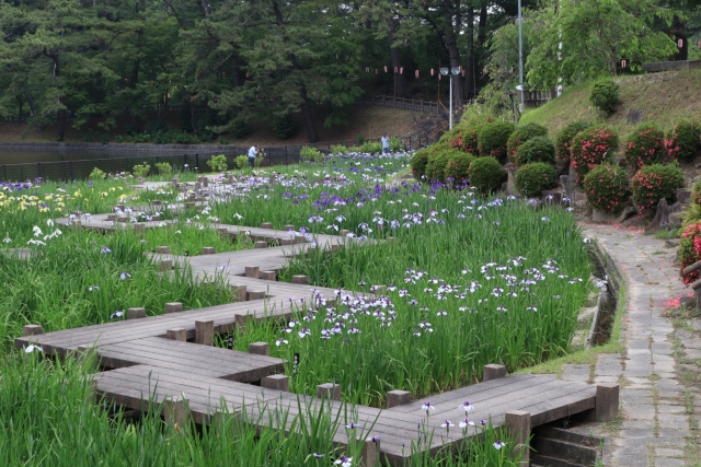 八つ橋
