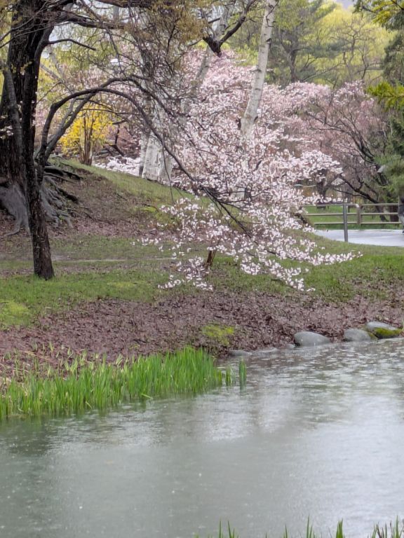 札幌　中島公園