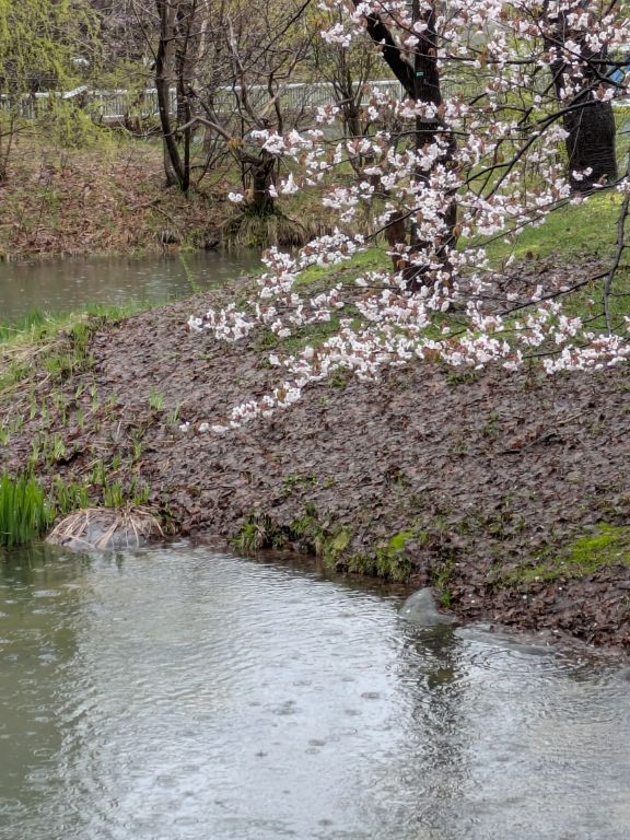 札幌　中島公園