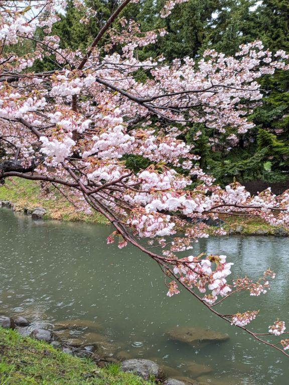 札幌　中島公園