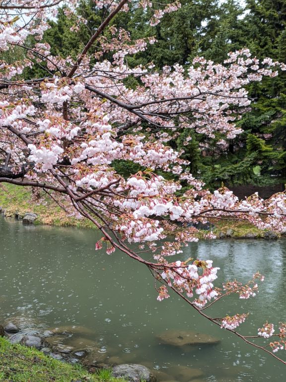 札幌　中島公園