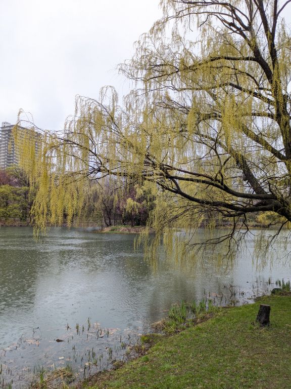 札幌　中島公園
