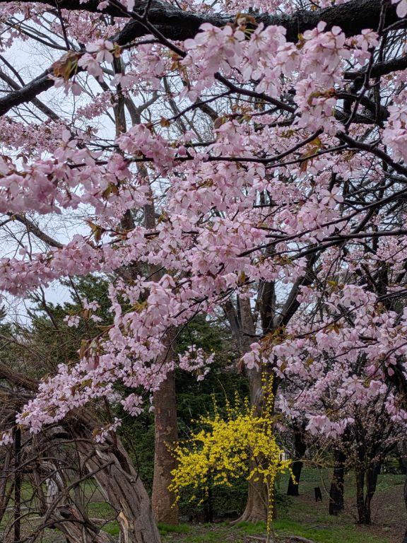 札幌　中島公園