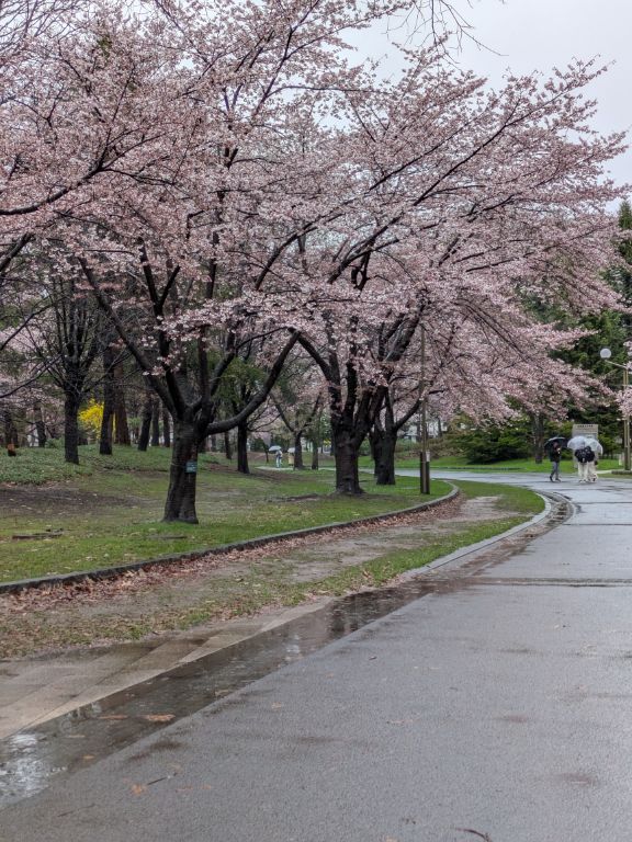 札幌　中島公園