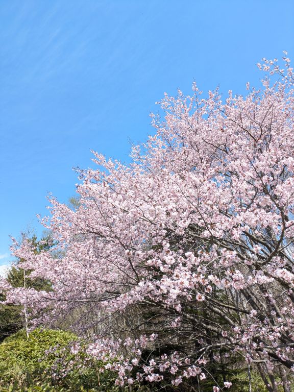 開拓の村