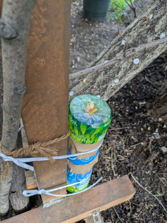 我流ネズミ捕り器1号
