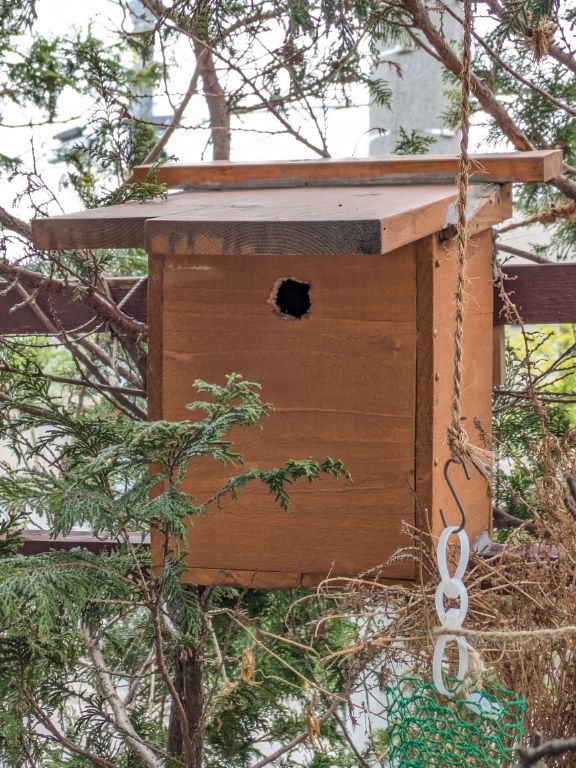 鳥小屋