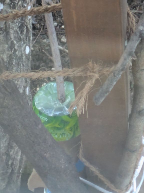 我流ネズミ捕り器