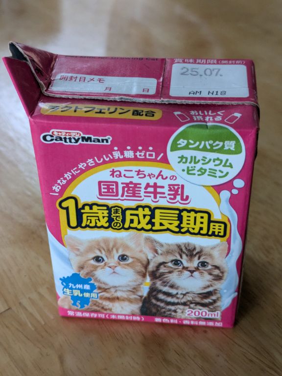 仔猫用ミルク