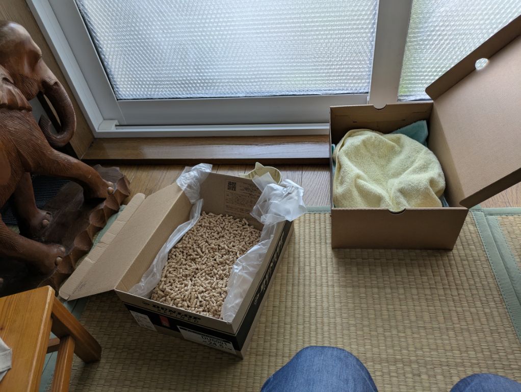 仔猫用寝床とトイレ