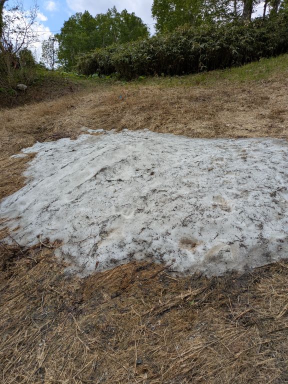 6月の残雪