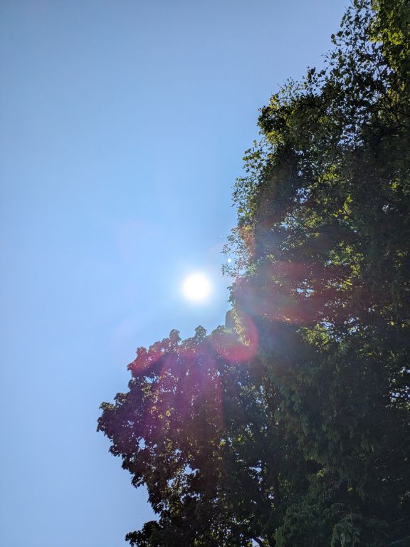 夏至