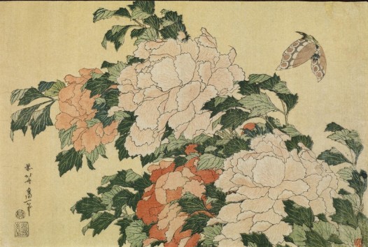 葛飾北斎　牡丹に蝶