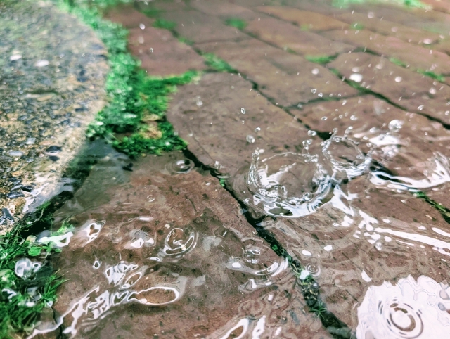 雨と雨粒
