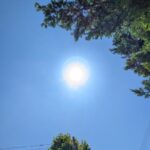 夏の太陽