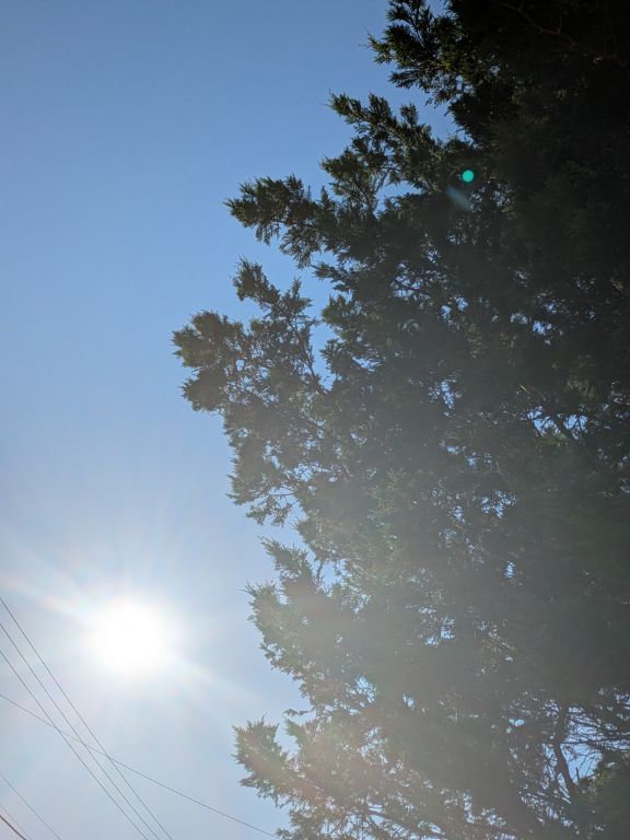 夏の太陽