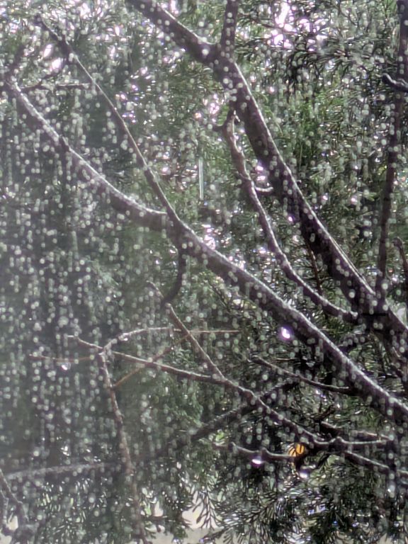雨の窓辺