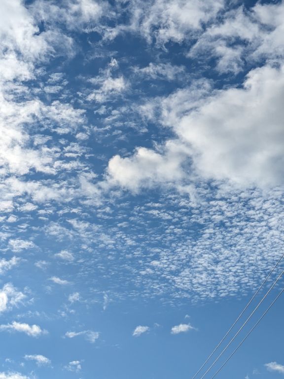 秋の空