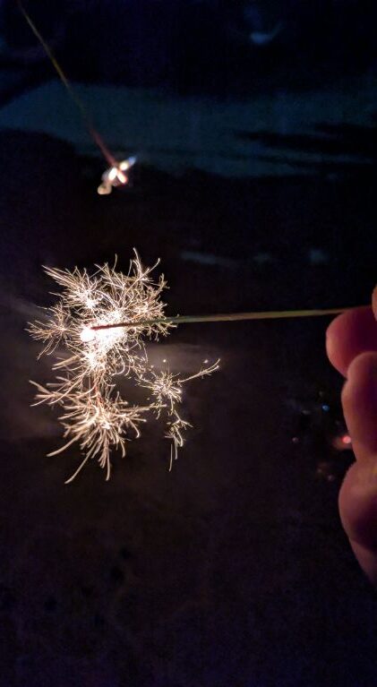 線香花火　牡丹