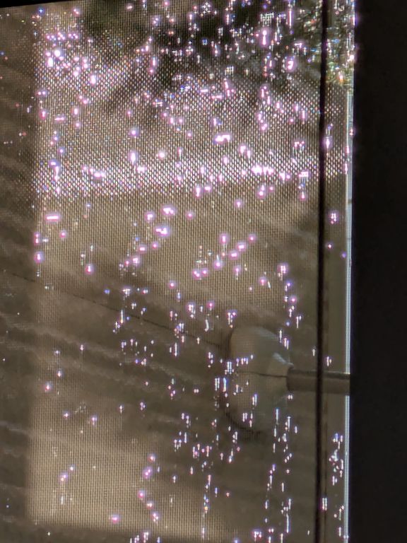 雨と網戸