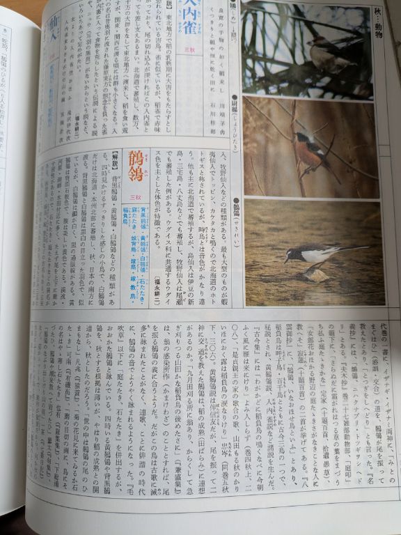 日本大歳時記
