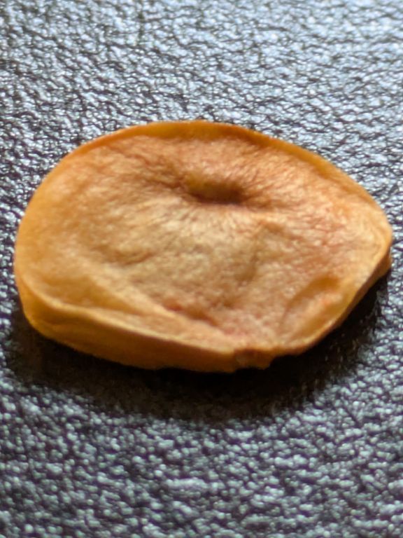 花菖蒲の種