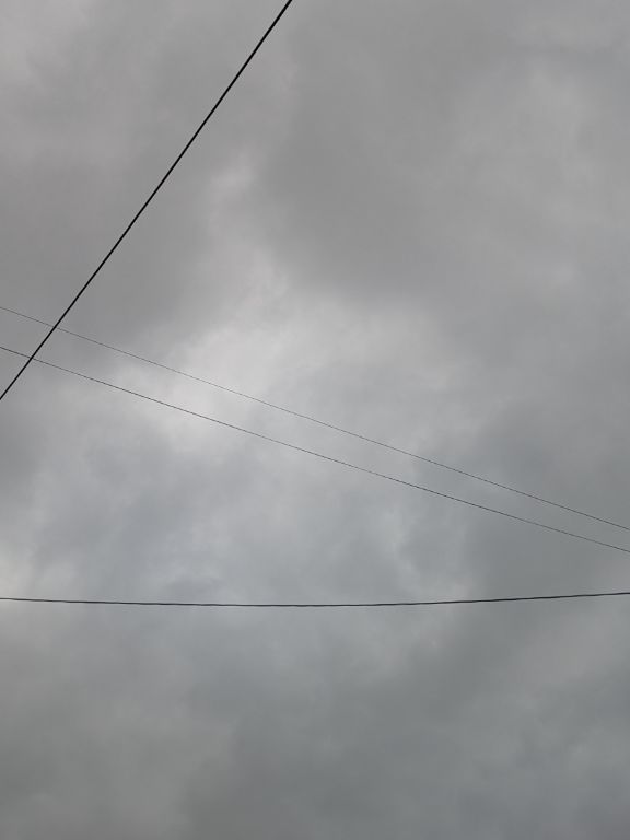 季節の変わり目の雨