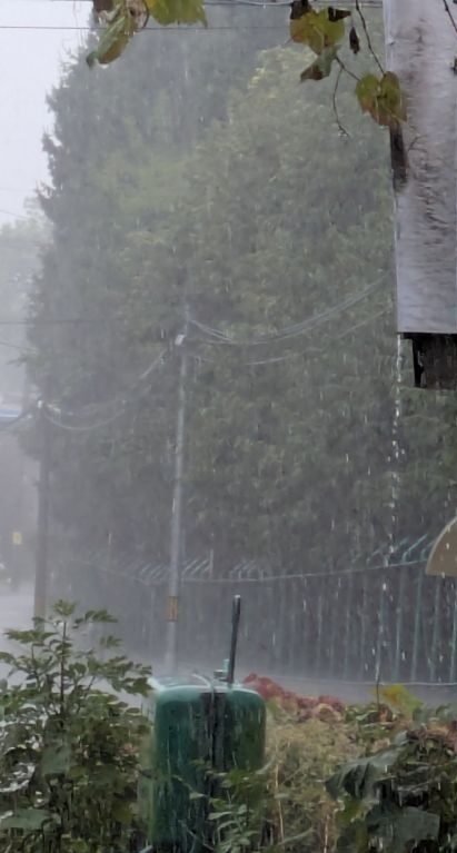 季節の変わり目の雨